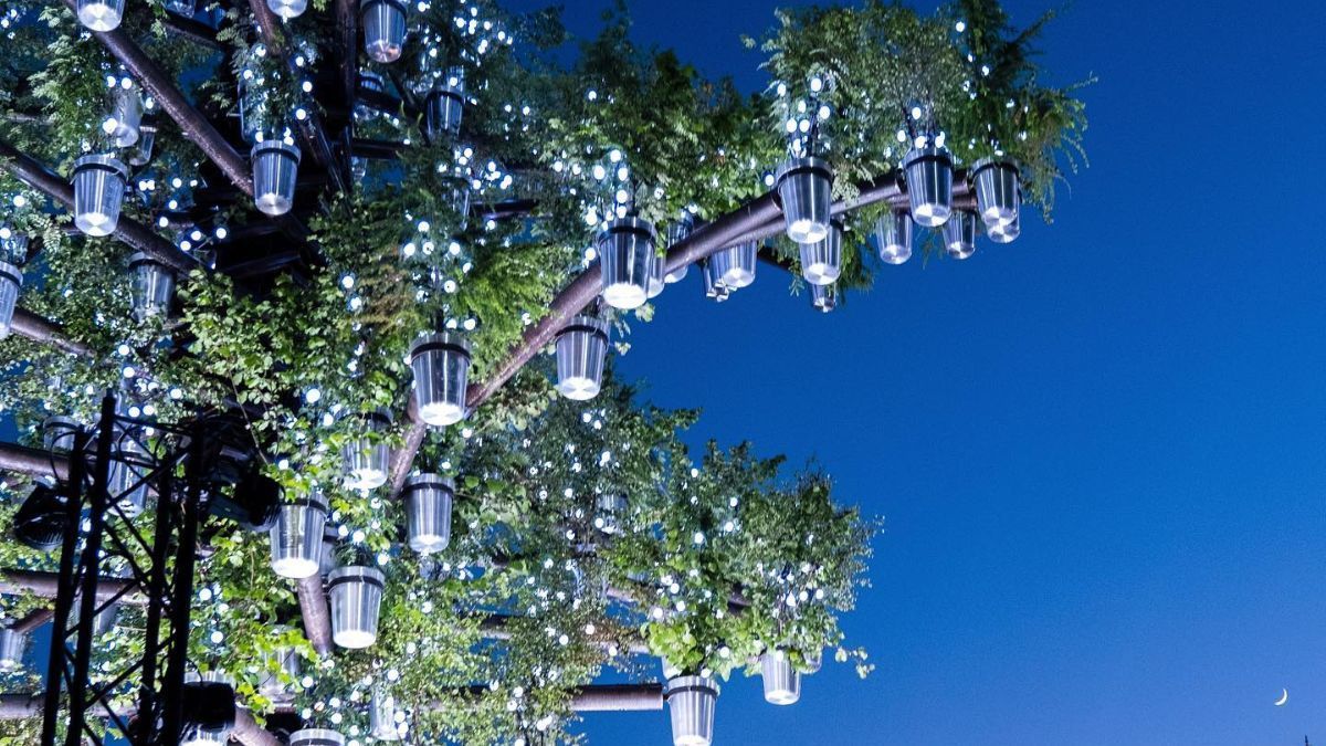 Королева зажгла "Дерево деревьев" в Букингемском дворце атмосферные кадры - Showbiz Королева зажгла "Дерево деревьев" в Букингемском дворце атмосферные кадры - Showbiz