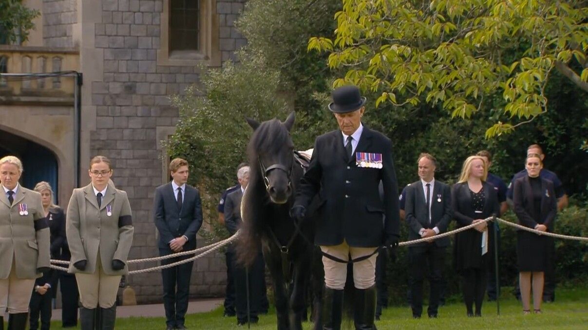 Любимцы Елизаветы II попрощались с хозяйкой - фото - Showbiz Любимцы Елизаветы II попрощались с хозяйкой - фото - Showbiz