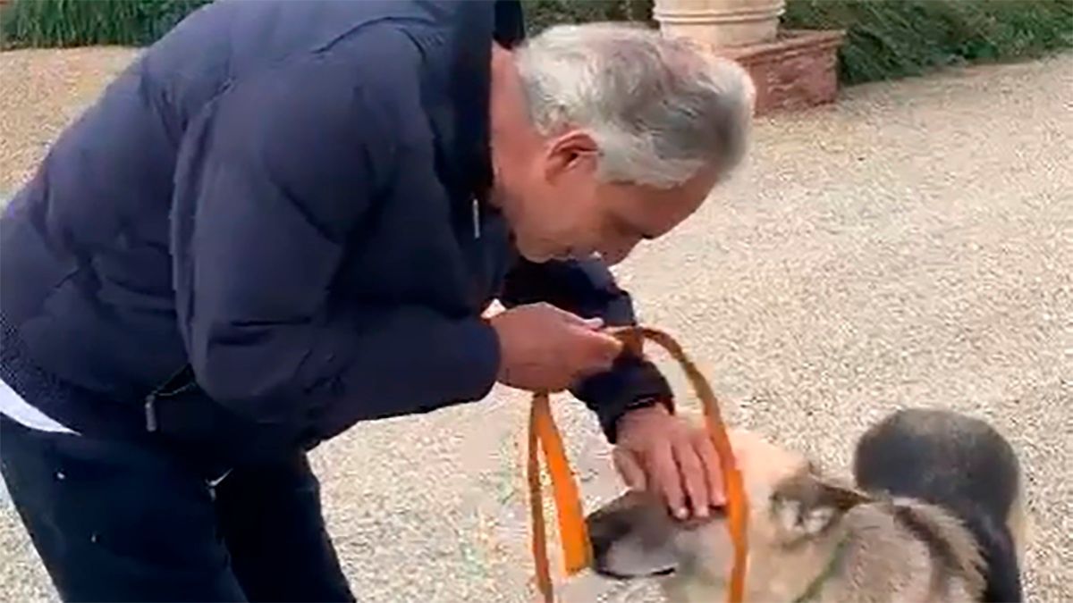 Андреа Бочеллі взяв собі пораненого пса з Куп'янська – відео з Італії