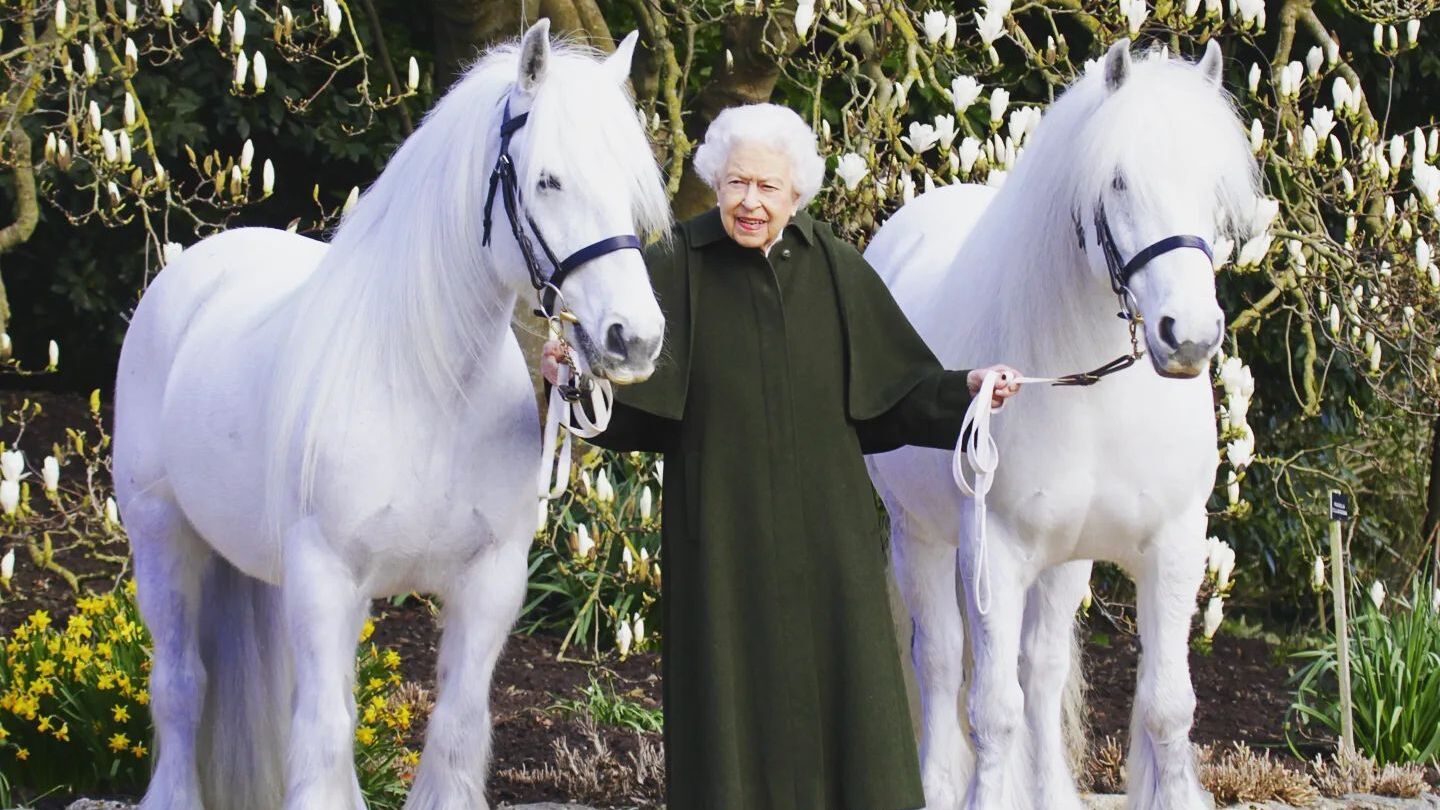 Король Чарльз III продаст 14 лошадей Елизаветы II – почему