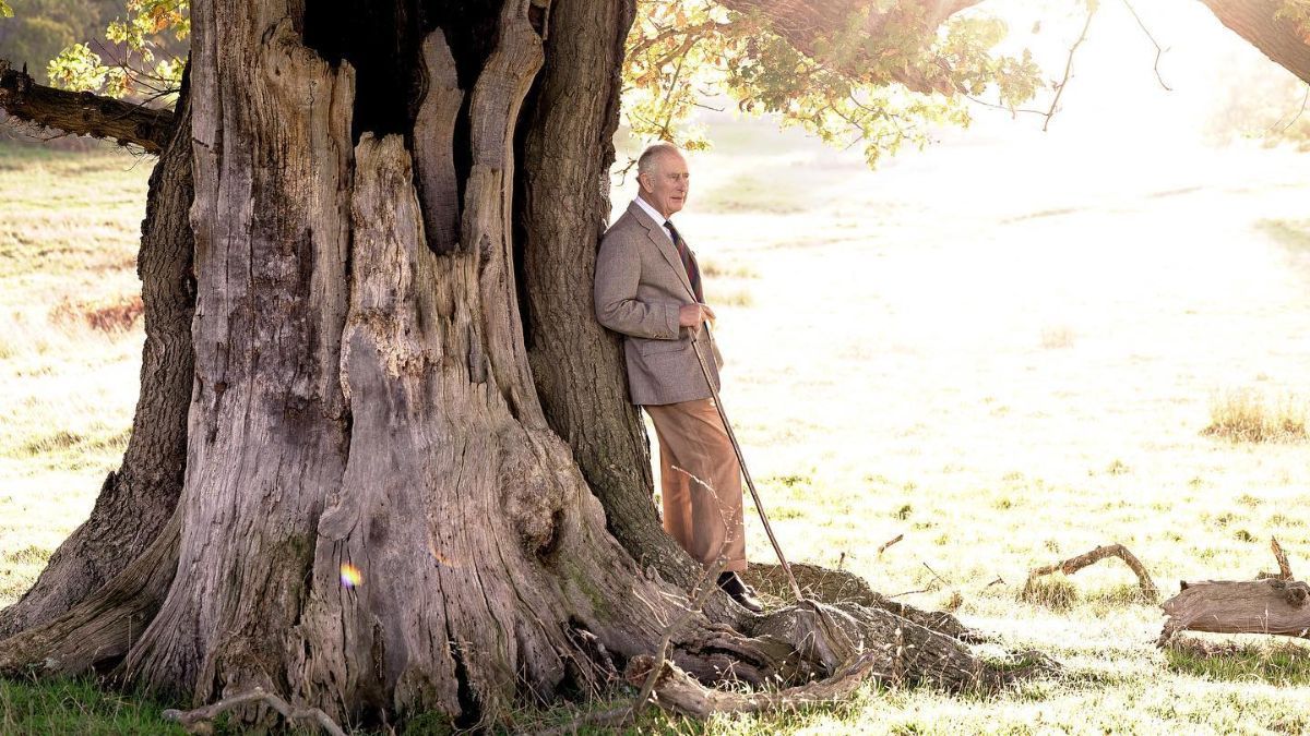 Король Чарльз III святкує день народження – йому виповнилося 74 роки Король Чарльз III святкує день народження – йому виповнилося 74 роки