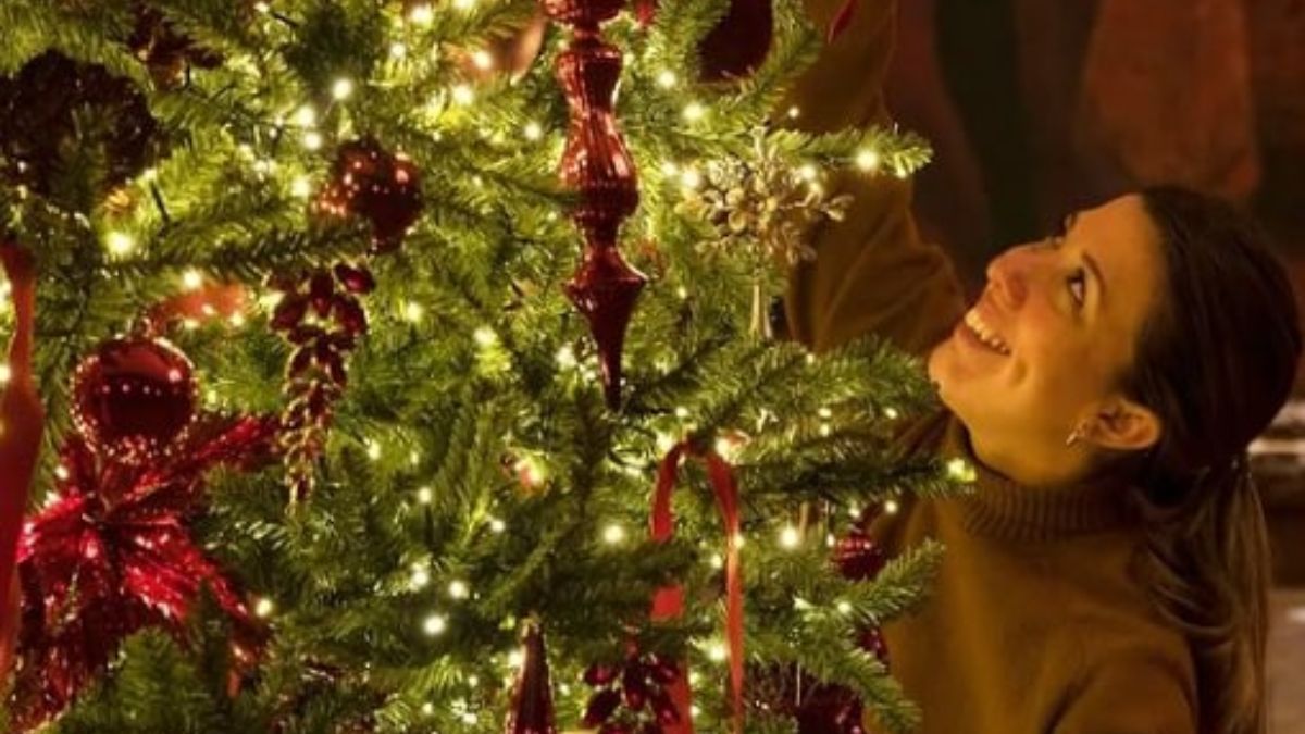 Рождество – в Виндзорском замке установили елку – фото