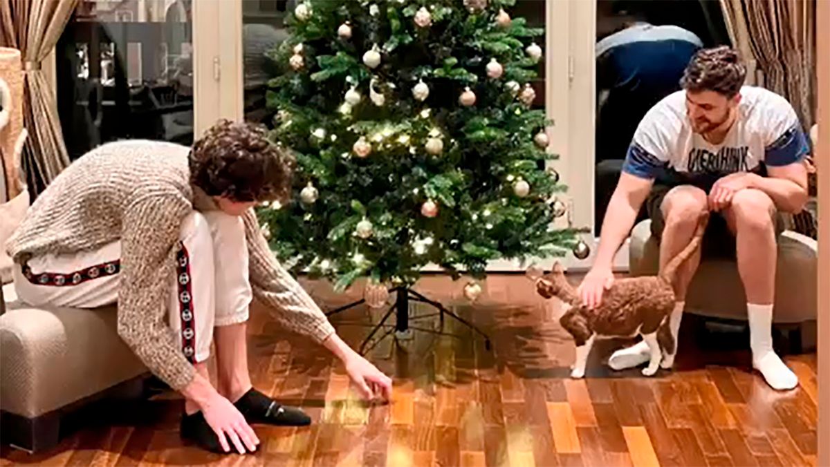 Сини Віталія Кличка в Німеччині – як вони виглядають – фото Сини Віталія Кличка в Німеччині – як вони виглядають – фото