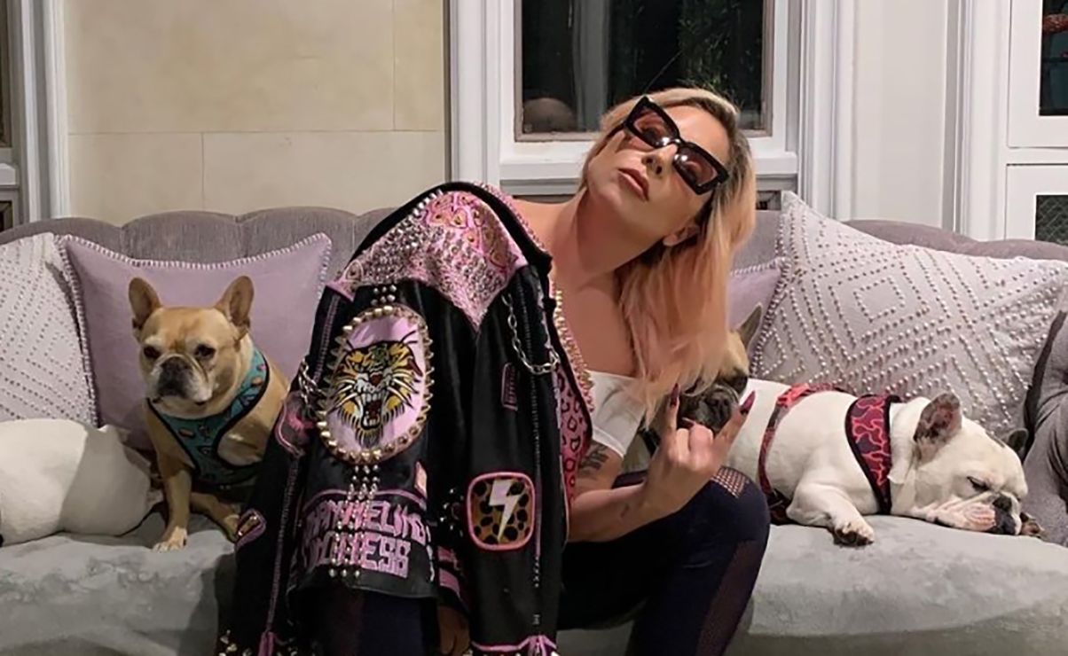 Леди Гага со своими бульдогами Леди Гага со своими бульдогами