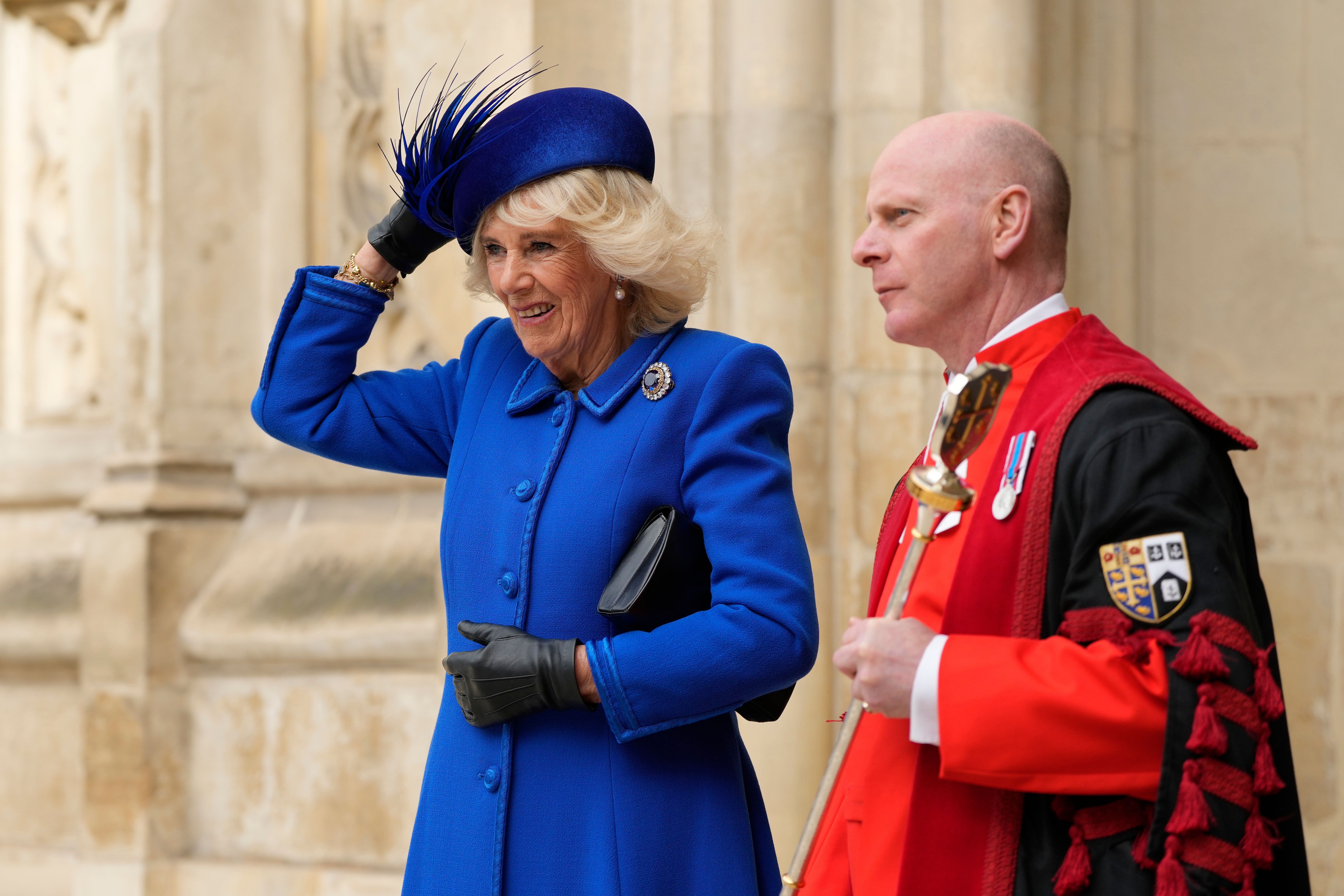 Королева-консорт Камилла Королева-консорт Камилла