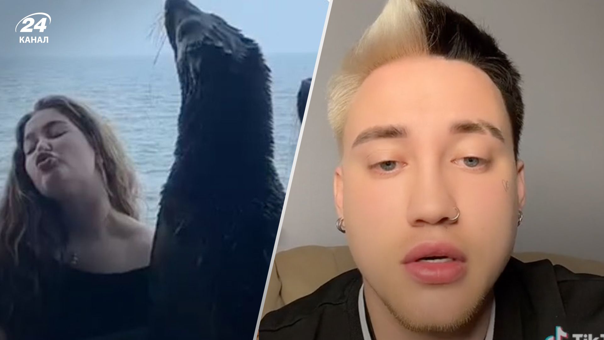 Блогер Машуковский оправдался за скандальное видео с морскими котиками Блогер Машуковский оправдался за скандальное видео с морскими котиками