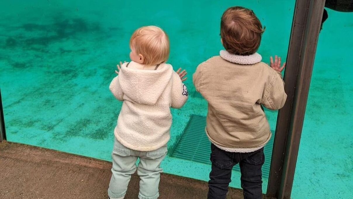 Донька принцеси Беатріс - у мережі показали перше фото, як вона виглядає Донька принцеси Беатріс - у мережі показали перше фото, як вона виглядає