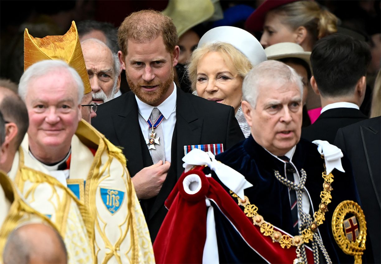 Принц Гарри приехал на коронацию Чарльза III.