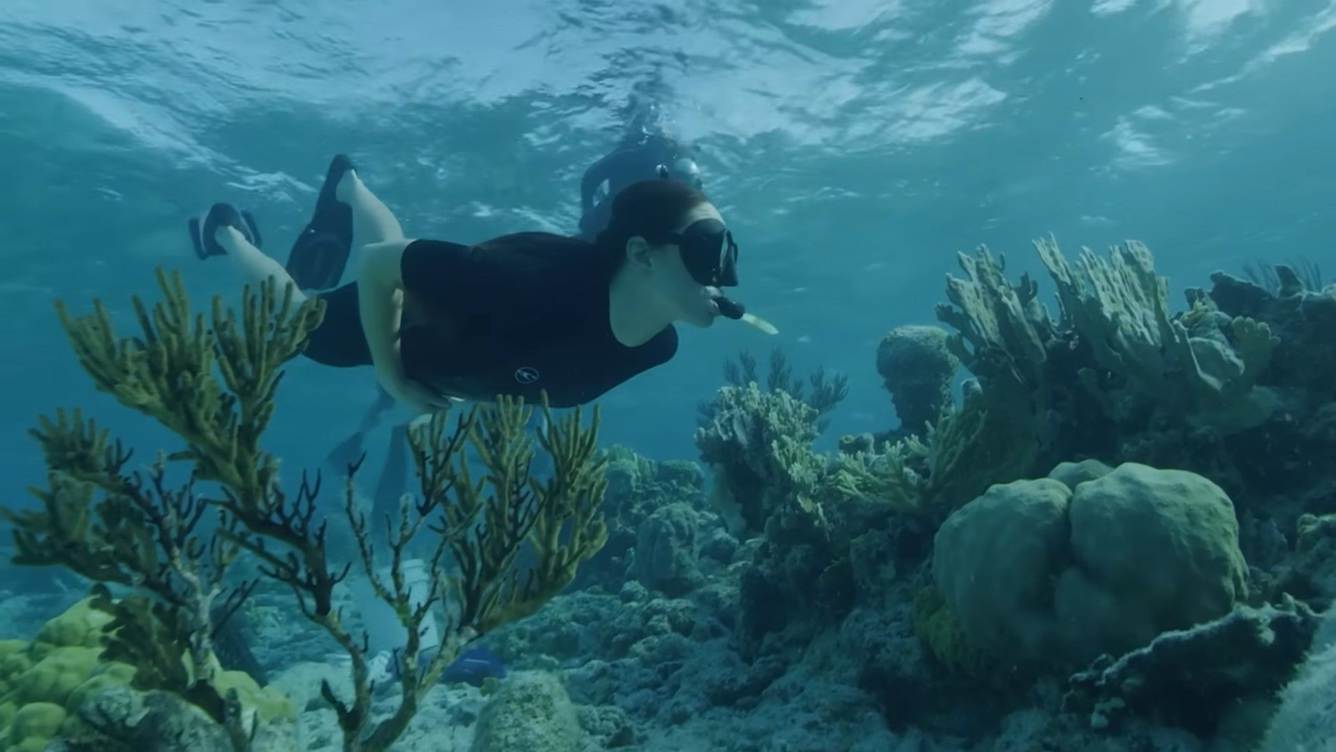 Кейт Міддлтон Кейт Міддлтон